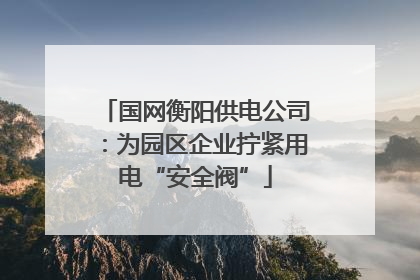 国网衡阳供电公司：为园区企业拧紧用电“安全阀”