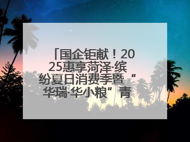 国企钜献！2025惠享菏泽·缤纷夏日消费季暨“华瑞·华小粮”青岛啤酒节启幕！
