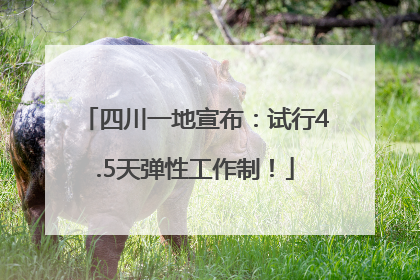 四川一地宣布：试行4.5天弹性工作制！