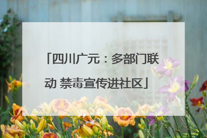 四川广元：多部门联动 禁毒宣传进社区