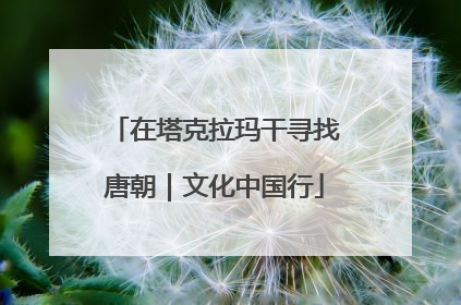 在塔克拉玛干寻找唐朝｜文化中国行