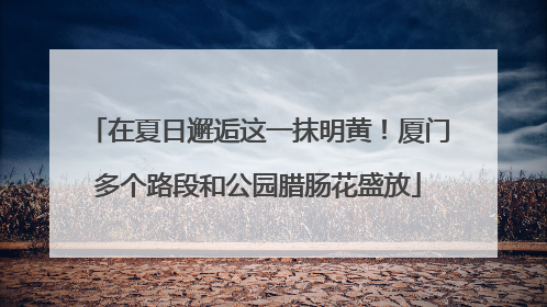在夏日邂逅这一抹明黄！厦门多个路段和公园腊肠花盛放