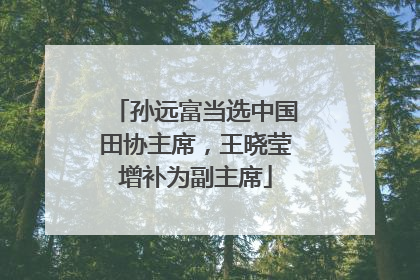 孙远富当选中国田协主席，王晓莹增补为副主席