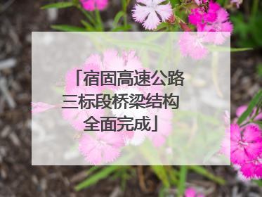 宿固高速公路三标段桥梁结构全面完成