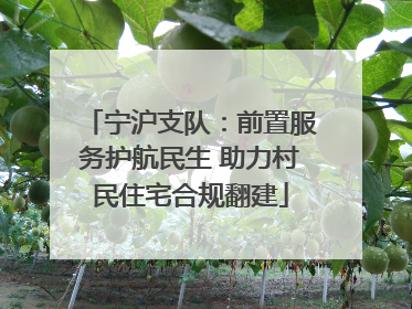 宁沪支队：前置服务护航民生 助力村民住宅合规翻建