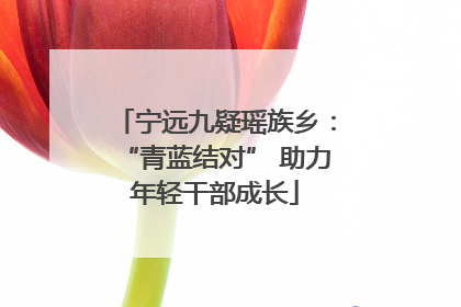 宁远九疑瑶族乡：“青蓝结对” 助力年轻干部成长