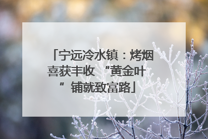 宁远冷水镇：烤烟喜获丰收 “黄金叶”铺就致富路