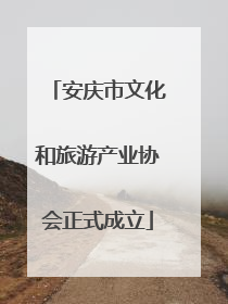 安庆市文化和旅游产业协会正式成立