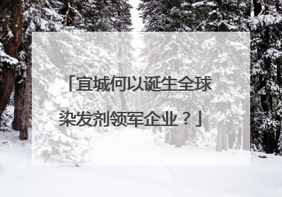 宜城何以诞生全球染发剂领军企业？