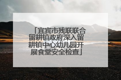 宜宾市残联联合留耕镇政府深入留耕镇中心幼儿园开展食堂安全检查