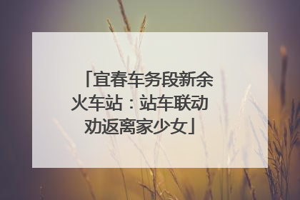 宜春车务段新余火车站：站车联动劝返离家少女