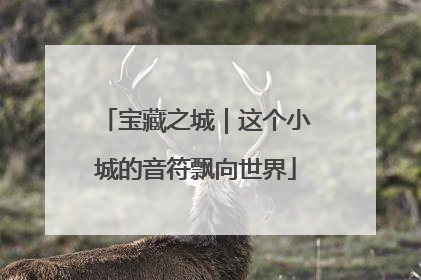 宝藏之城｜这个小城的音符飘向世界