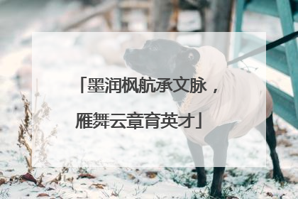 墨润枫航承文脉，雁舞云章育英才