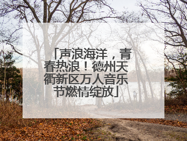 声浪海洋，青春热浪！德州天衢新区万人音乐节燃情绽放