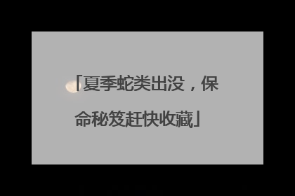夏季蛇类出没，保命秘笈赶快收藏