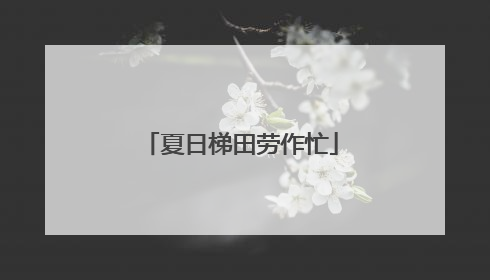 夏日梯田劳作忙