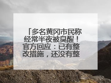 多名黄冈市民称经常半夜被臭醒！官方回应：已有整改措施，还没有整改情况