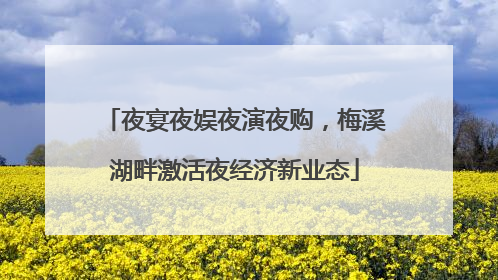 夜宴夜娱夜演夜购，梅溪湖畔激活夜经济新业态