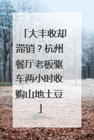 大丰收却滞销？杭州餐厅老板驱车两小时收购山地土豆