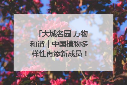 大城名园 万物和谐｜中国植物多样性再添新成员！它只在西藏墨脱