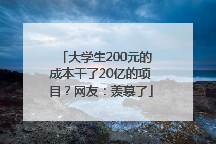 大学生200元的成本干了20亿的项目？网友：羡慕了