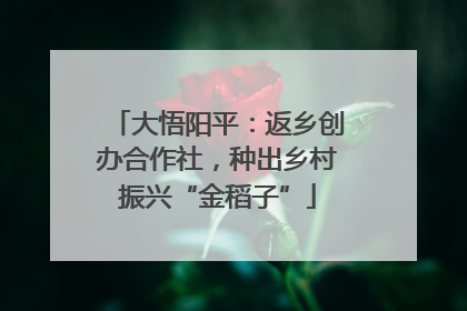 大悟阳平：返乡创办合作社，种出乡村振兴“金稻子”