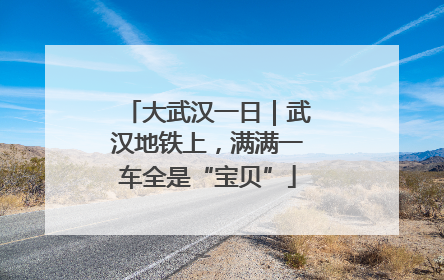 大武汉一日｜武汉地铁上，满满一车全是“宝贝”