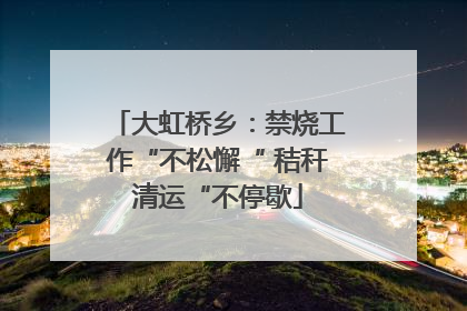 大虹桥乡：禁烧工作“不松懈“ 秸秆清运“不停歇