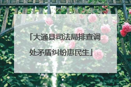 大通县司法局排查调处矛盾纠纷惠民生