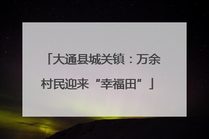大通县城关镇：万余村民迎来“幸福田”