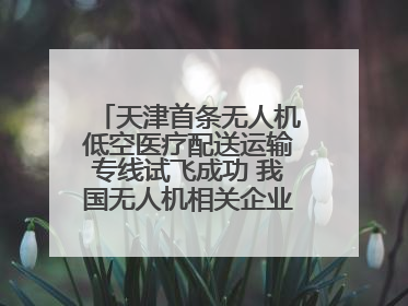 天津首条无人机低空医疗配送运输专线试飞成功 我国无人机相关企业超3.6万家