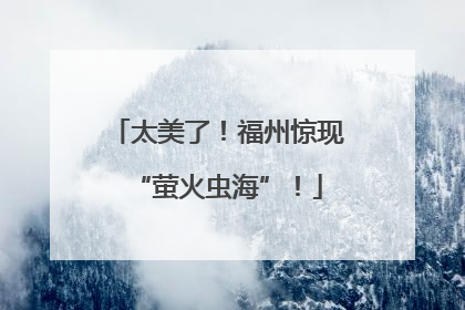 太美了！福州惊现“萤火虫海”！