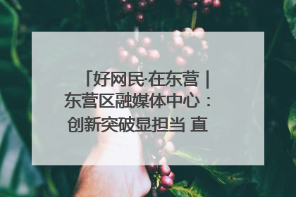 好网民·在东营｜东营区融媒体中心：创新突破显担当 直播赋能谱华章