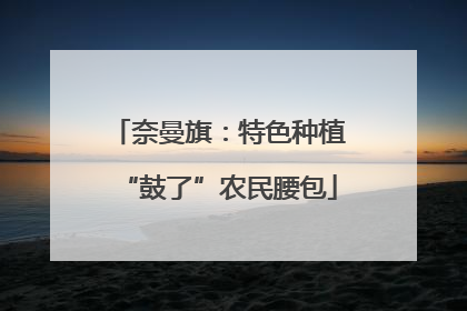 奈曼旗：特色种植“鼓了”农民腰包