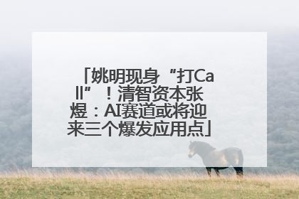 姚明现身“打Call”！清智资本张煜：AI赛道或将迎来三个爆发应用点