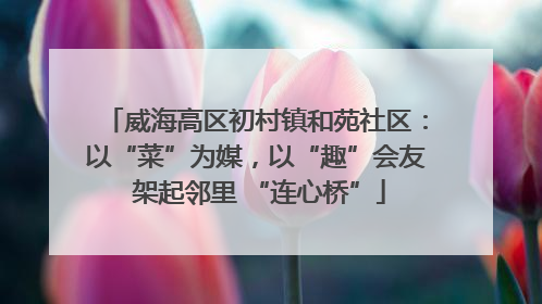 威海高区初村镇和苑社区：以“菜”为媒，以“趣”会友 架起邻里 “连心桥”