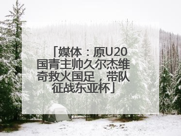 媒体：原U20国青主帅久尔杰维奇救火国足，带队征战东亚杯