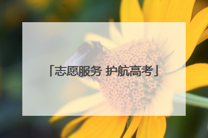 志愿服务 护航高考