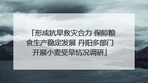 形成抗旱救灾合力 保障粮食生产稳定发展 丹阳多部门开展小麦受旱情况调研