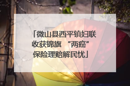 微山县西平镇妇联收获锦旗 “两癌”保险理赔解民忧