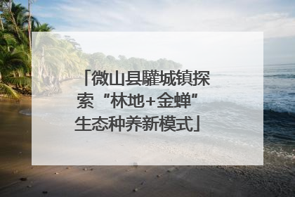 微山县驩城镇探索“林地+金蝉”生态种养新模式