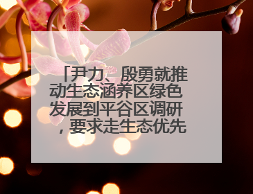 尹力、殷勇就推动生态涵养区绿色发展到平谷区调研，要求走生态优先、绿色低碳的高质量发展之路