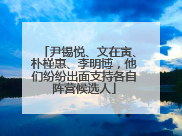 尹锡悦、文在寅、朴槿惠、李明博，他们纷纷出面支持各自阵营候选人
