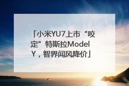 小米YU7上市“咬定”特斯拉Model Y，智界闻风降价