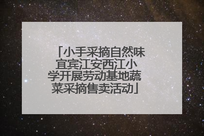 小手采摘自然味 宜宾江安西江小学开展劳动基地蔬菜采摘售卖活动