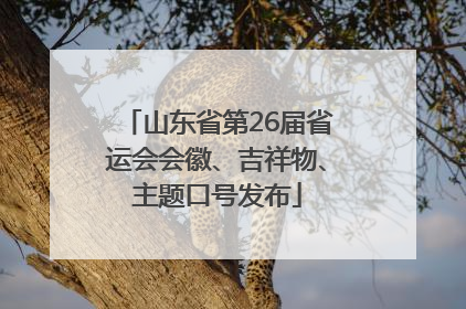 山东省第26届省运会会徽、吉祥物、主题口号发布