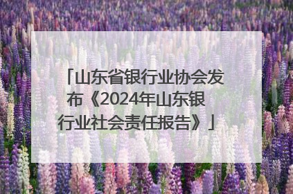 山东省银行业协会发布《2024年山东银行业社会责任报告》