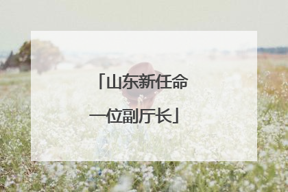 山东新任命一位副厅长