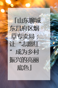 山东聊城东昌府区烟草专卖局：让“志愿红”成为乡村振兴的亮丽底色