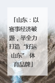 山东：以赛事经济破题，举全力打造“好运山东” 体育品牌